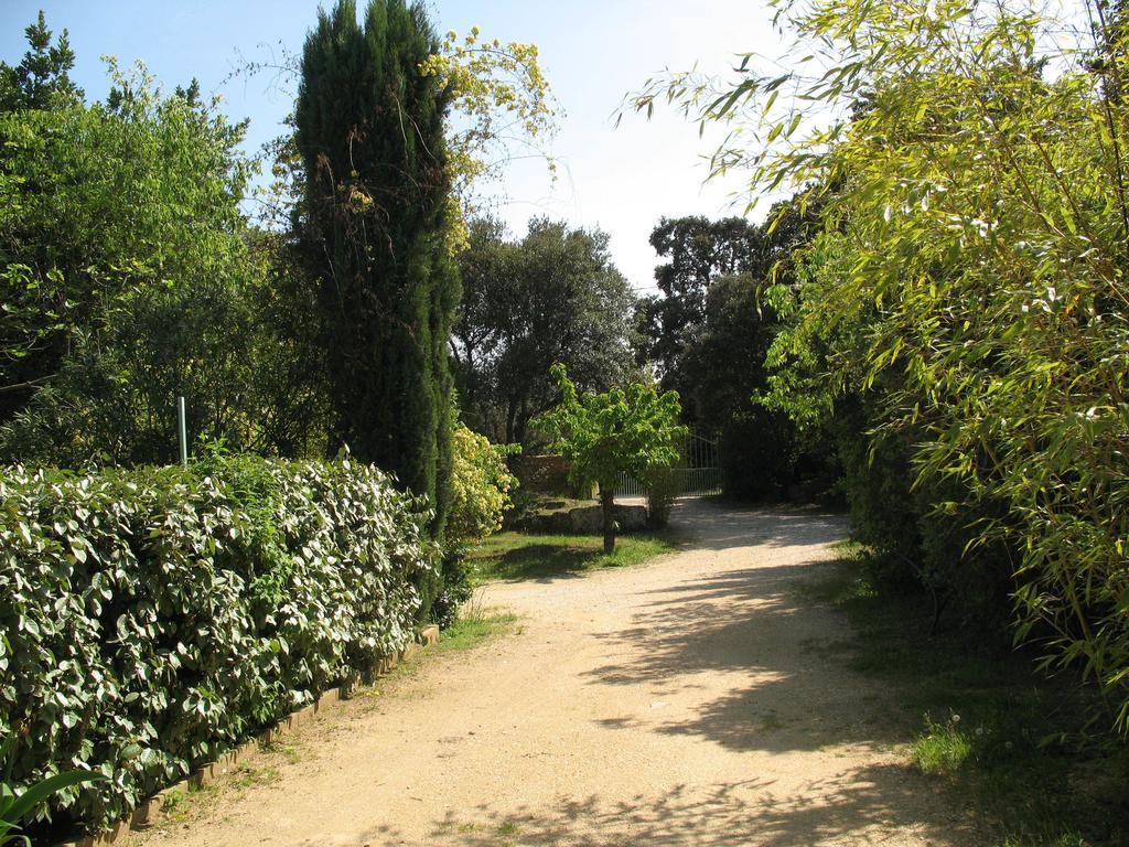 Mas Blauvac Avec Piscine, Entre Uzes Pont Du Gard Villa Vers-Pont-du-Gard Værelse billede