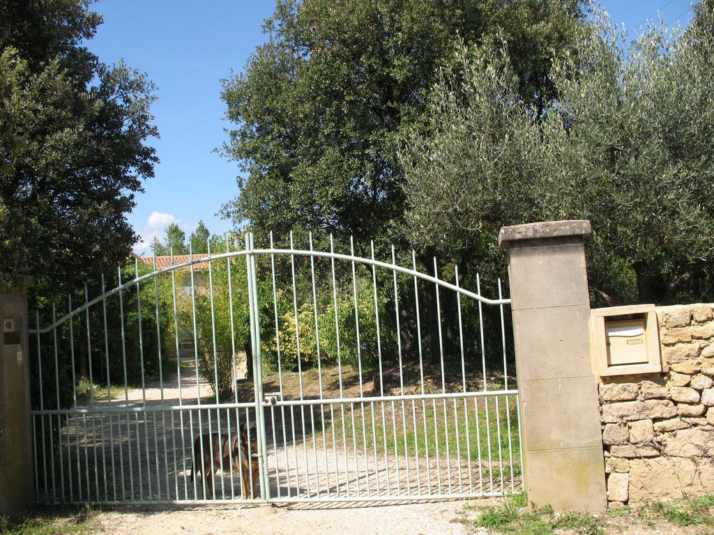 Mas Blauvac Avec Piscine, Entre Uzes Pont Du Gard Villa Vers-Pont-du-Gard Værelse billede